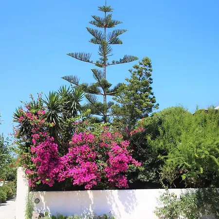 Ioanna Apartament Adamantas (Milos)